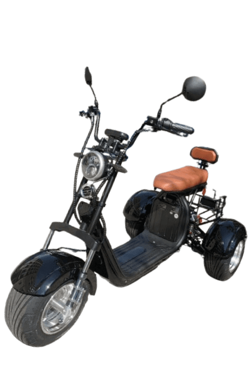 TRICICLO 3000W - Foto 1